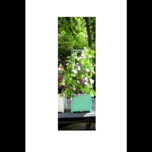 Ultimate Innovations 10" Self-Watering Planter with Trellis Teal